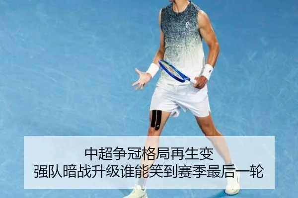 中超争冠格局再生变 强队暗战升级谁能笑到赛季最后一轮